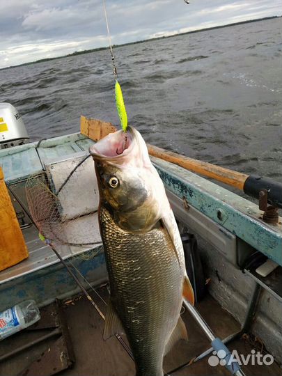 Блесны на жереха, судака