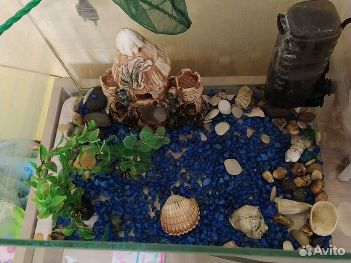 Аквариум