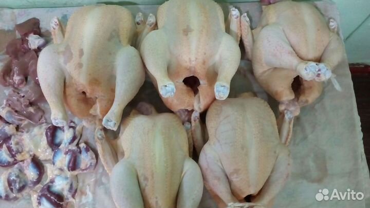 Мясо домашней птицы