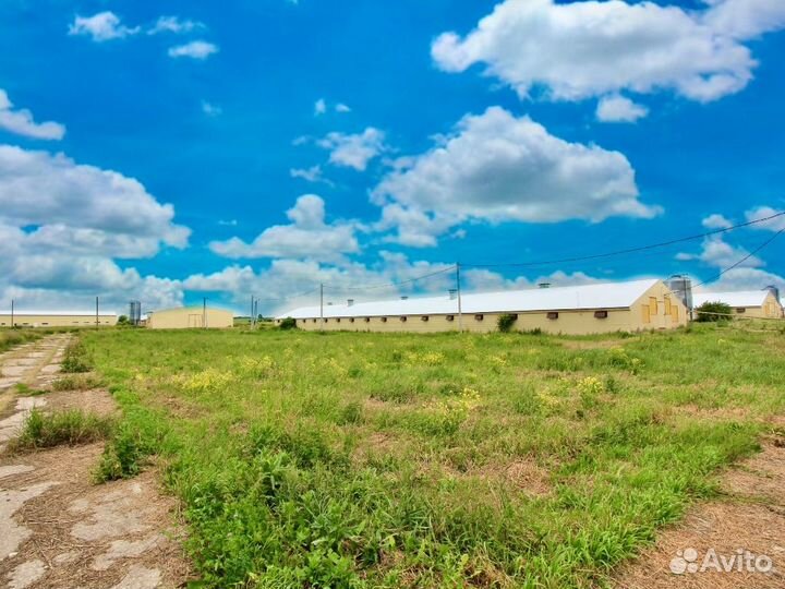 Сельхоз предприятие. 12 строений площадью 8.600м2