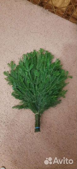 Банные веники. Дуб, Береза, Пихта, Эвкалипт