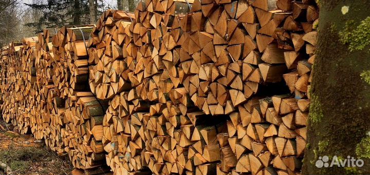 Дрова с Приморска