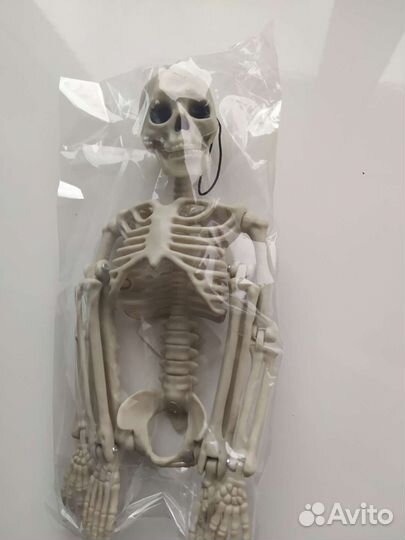 Скелет 43 см. Точная копия