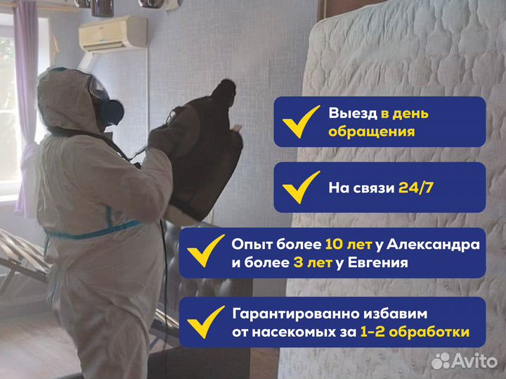 Уничтожение клопов, травить тараканов, дезинсекция