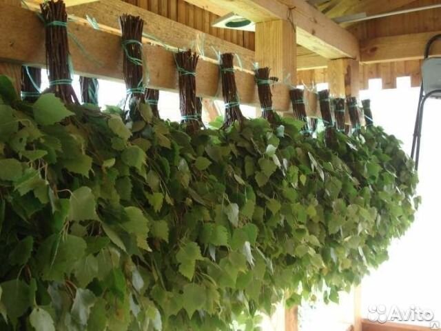 Березовые веники в сетке 2023