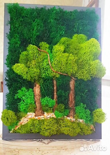 Панно со мхом