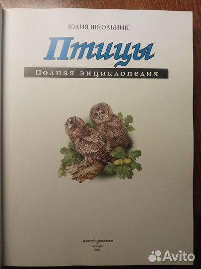 Книга энциклопедия птицы