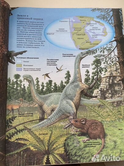 Динозавры- книги, энциклопедии