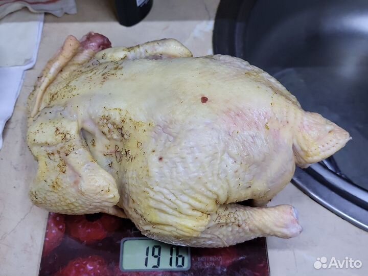 Куры бройлеры тушки мясо