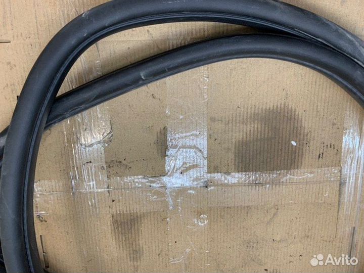 Уплотнитель проема двери задний Ford Focus 2