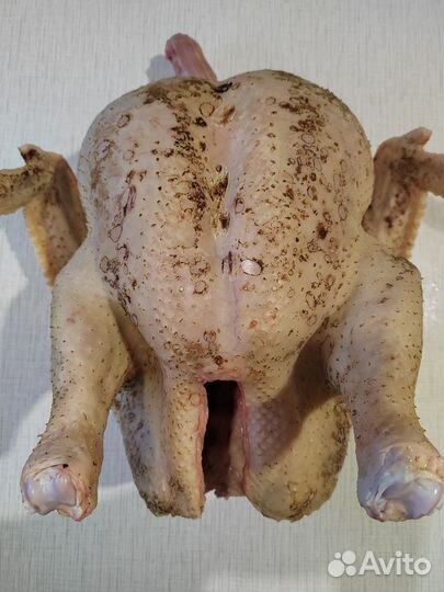 Мясо домашней индейки