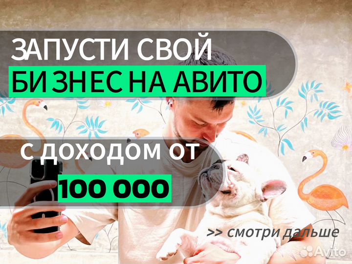 Продам готовый бизнес Заработок на авито