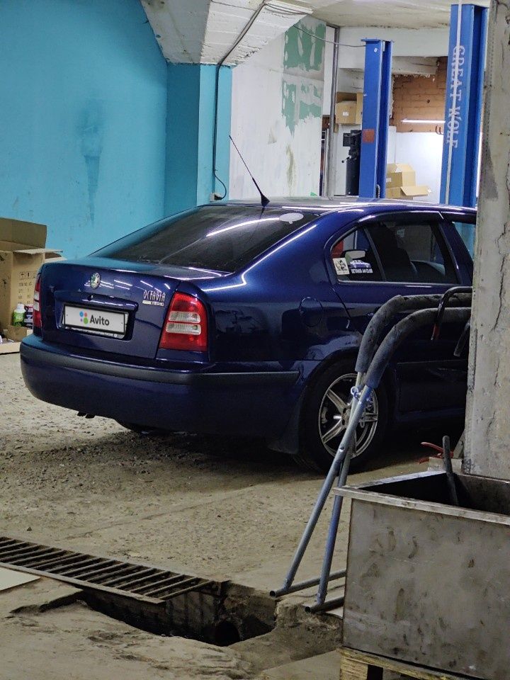 Skoda Octavia: фото владельца