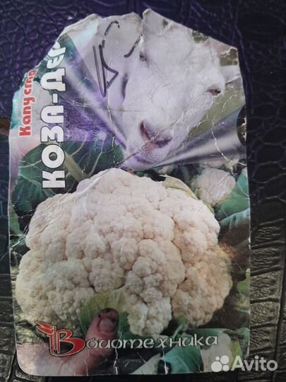 Цветная капуста