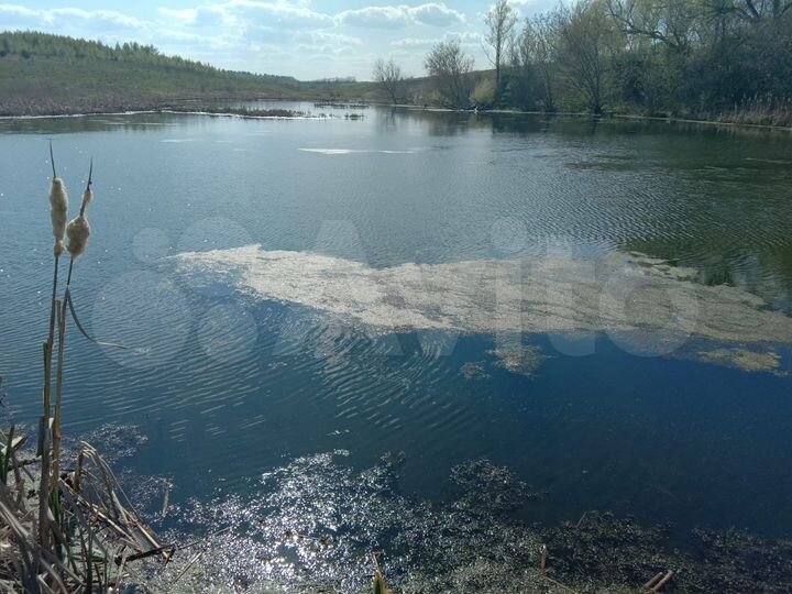 Участок 64 сот. (ИЖС)