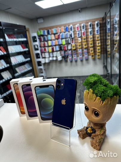 iPhone 12 mini, 256 ГБ