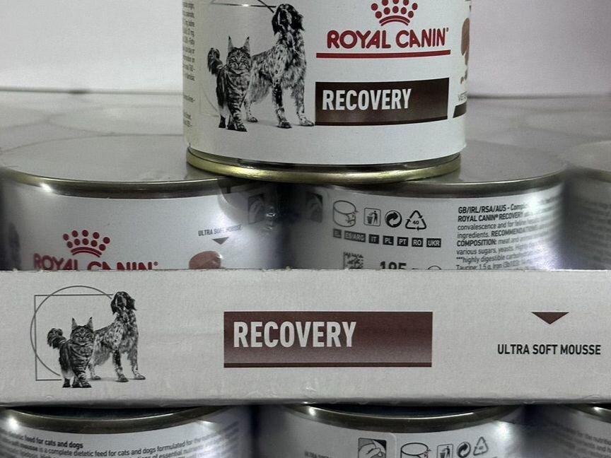 Корм послеоперационный royal canin recovery 195гр