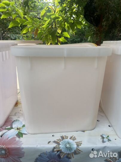 Контейнер пластиковый с крышкой