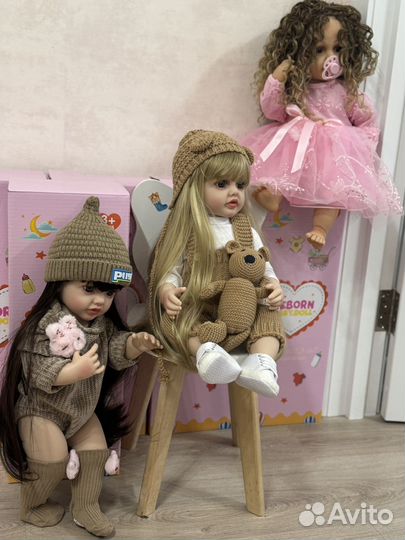 Кучеряшка бронь