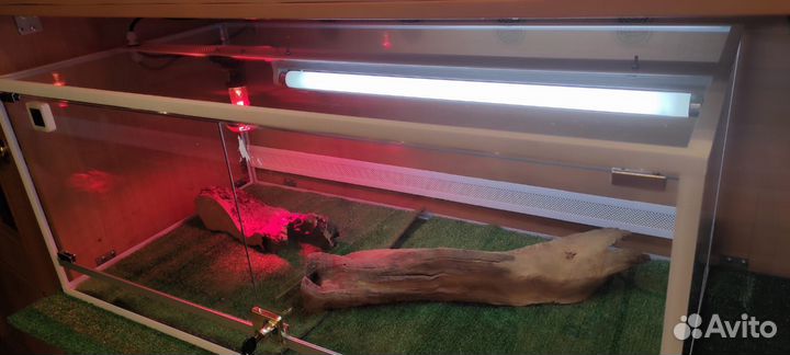 Террариум для рептилий бу