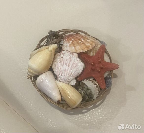Ракушки и морская звезда в корзиночке