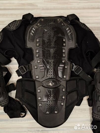 Моточерепаха