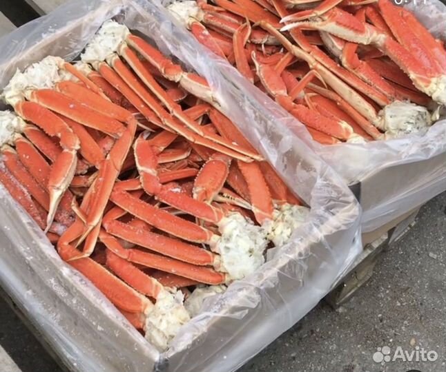 Краб стригун