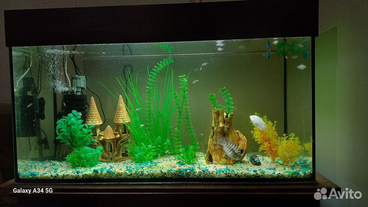 Аквариум с рыбками