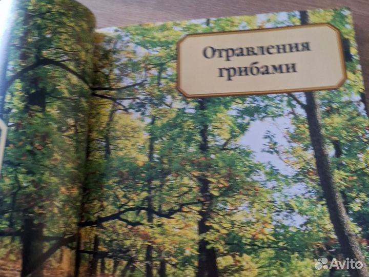 Энциклопедия