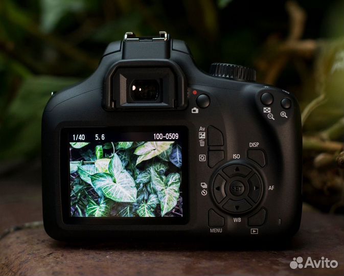 Зеркальный фотоаппарат Sony A58