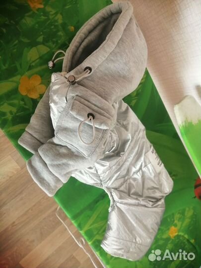 Одежда для собак