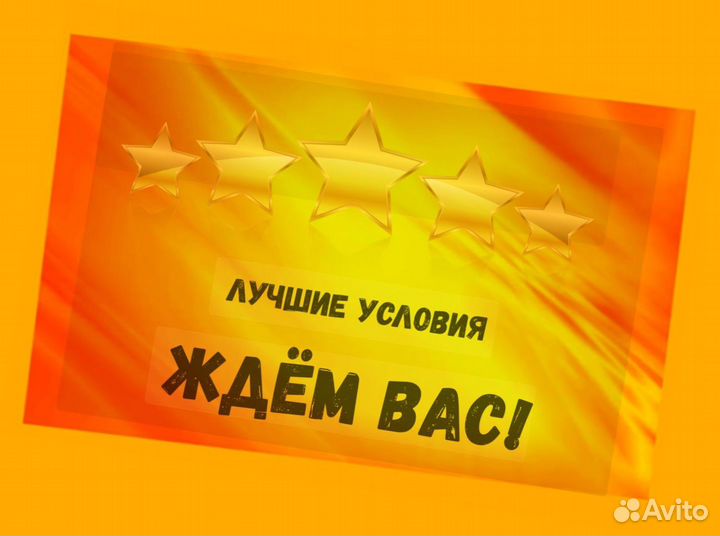 Оператор производственной линии Без опыта М/Ж