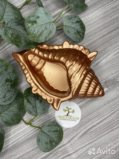 Ракушка. Гипсовые изделия