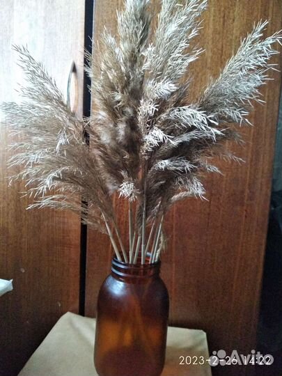 Медицинские банки СССР