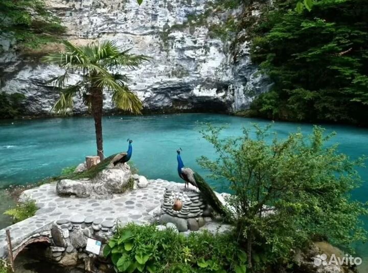 Эксклюзив-тур в Абхазию от 7 дн