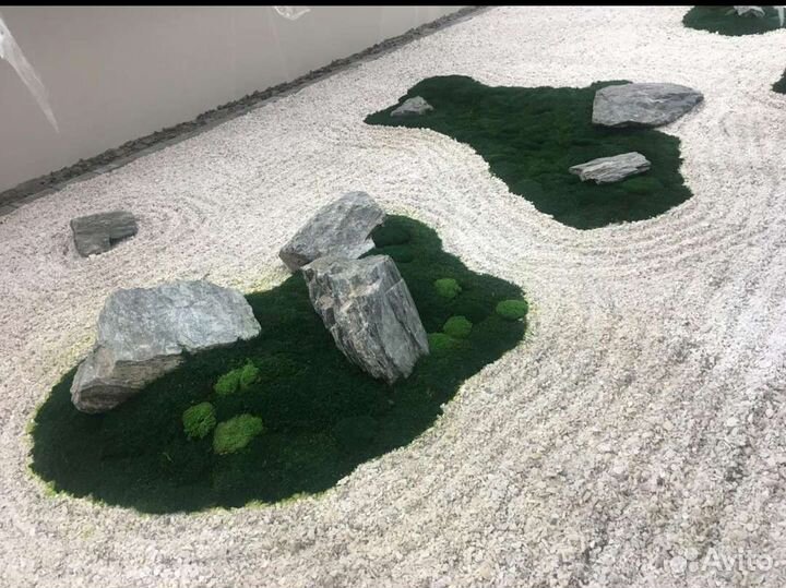 Мох стабилизированный пластовой плоский кочки