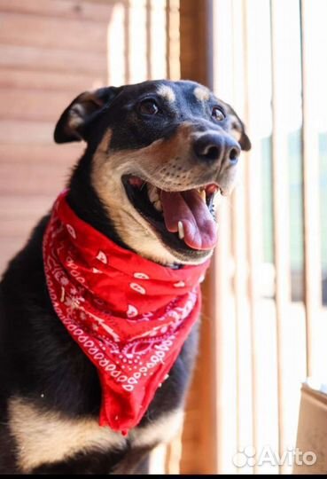 Забери меня домой