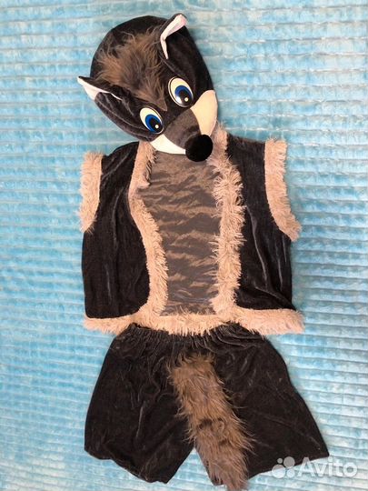 Аренда детских карнавальных костюмов