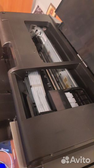 Принтер epson l800