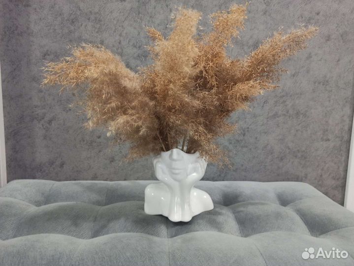 Сухоцветы для декора камыш тростник