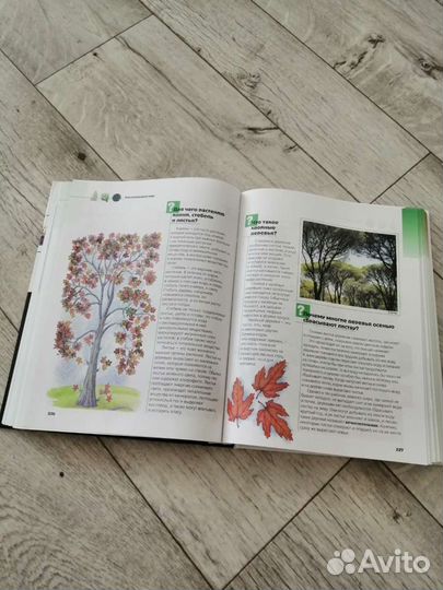 Энциклопедия для детей