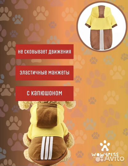 Одежда для животных