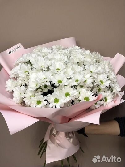 Нежный и пышный букеты из хризантем за 150