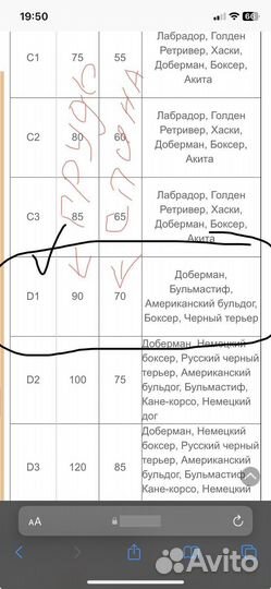 Одежда для собак