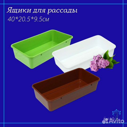 Ящик поддон для рассады и растений