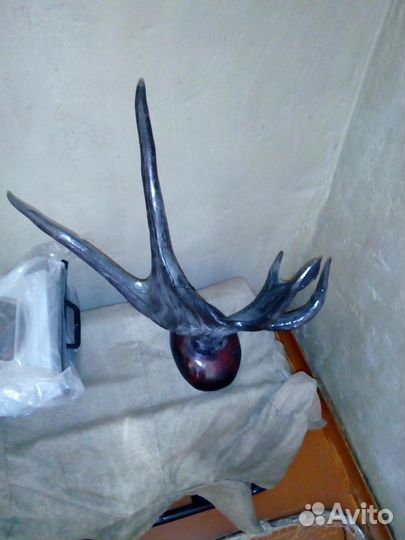 Рога лося