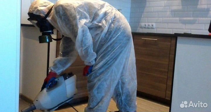 Средство для Уничтожения клопов Дезинсекции тараканов