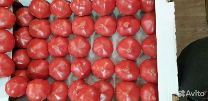 Помидор super вкусные розовые с зелёными семенами