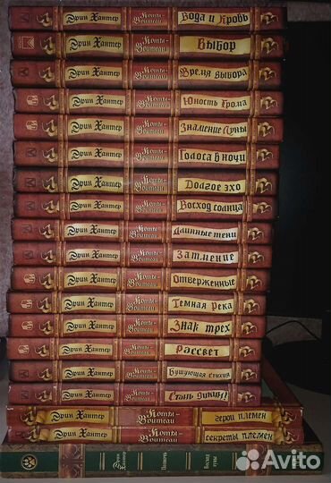 Книги коты воители