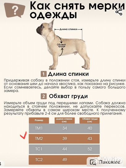 Комбинезон для таксы зимний